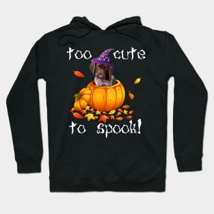 german shorthair pointer Too Cute To Spook Halloween Dog Hoodie